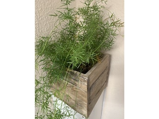 Holiday house Dornumersiel Outdoor Recording 10