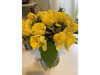 Holiday house Dornumersiel Outdoor Recording 14