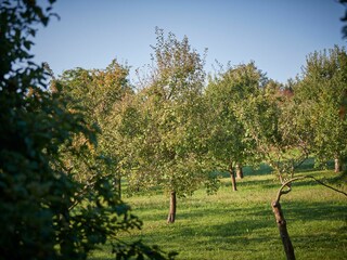 Holiday apartment Kunreuth Outdoor Recording 9