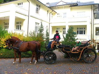 Holiday apartment Heringsdorf (Seebad) Outdoor Recording 4