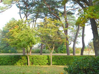 Holiday apartment Heringsdorf (Seebad) Environment 6