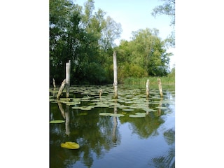 Kanufahrten auf der Uecker