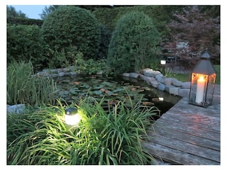 Ihre Terrasse ist unmittelbar neben dem Teich