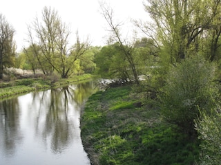 Flußparadies Franken Main bei Ebing