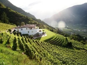 Holiday apartment Oberlahnbach - Pergola - Naturns - image1