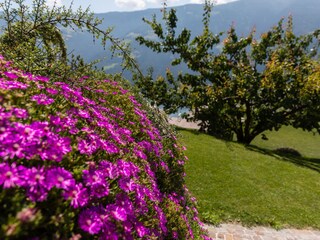 Vakantieappartement Naturns Buitenaudio-opname 18