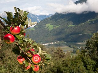 Vakantieappartement Naturns Buitenaudio-opname 22