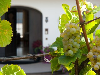 Vakantieappartement Naturns Buitenaudio-opname 14