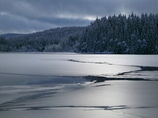 Appartement de vacances Lenzkirch Environnement 13