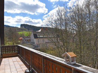 Apartamento de vacaciones Lenzkirch Grabación al aire libre 4