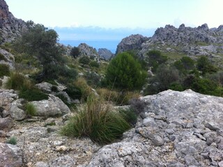 Villa Pollensa Ambiente 18