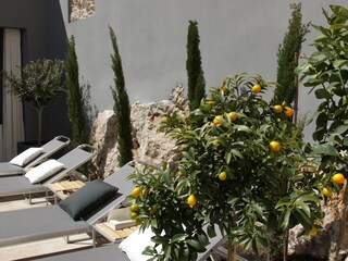 Villa Pollensa Registrazione all'aperto 5