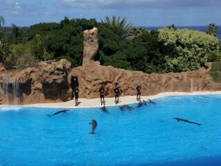 Appartamento per vacanze El Sauzal Ambiente 18