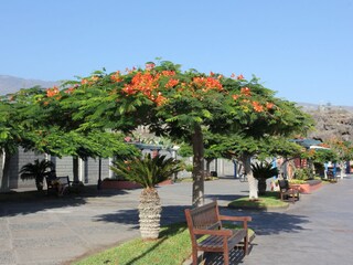 Schöne Promenade in Playa San Juan