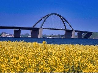 Die Fehmarnsundbrücke