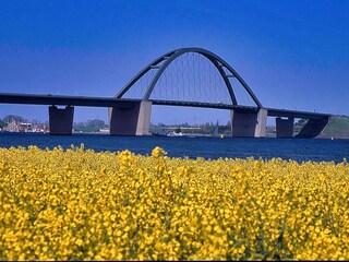 Vakantieappartement Großenbrode Omgeving 18