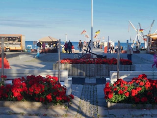 Markt an der Seebrücke