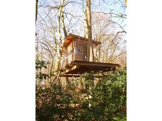 Treehouse