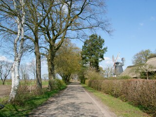Birkenhof and mill