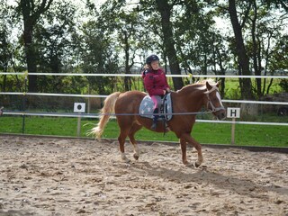 Appartement de vacances Oevenum Enregistrement extérieur 4