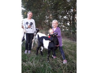 Appartamento per vacanze Oevenum Registrazione all'aperto 6