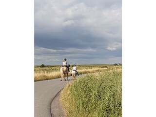 Apartamento de vacaciones Oevenum Entorno 34