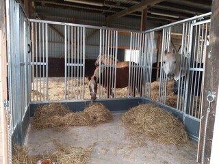 Appartamento per vacanze Oevenum Registrazione all'aperto 10