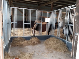 Appartement de vacances Oevenum Enregistrement extérieur 10