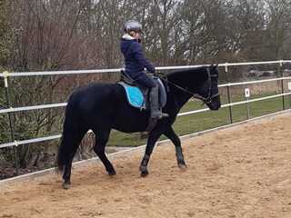 Appartement de vacances Oevenum Enregistrement extérieur 9