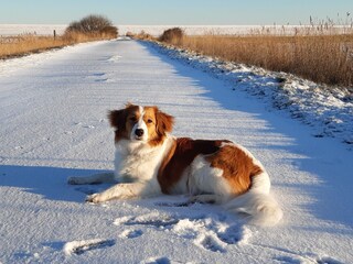 Appartamento per vacanze Oevenum Registrazione all'aperto 12