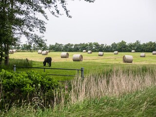 Apartamento de vacaciones Oevenum Grabación al aire libre 13