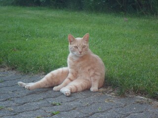 Appartamento per vacanze Oevenum Registrazione all'aperto 14