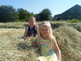 Apartamento de vacaciones Oevenum Grabación al aire libre 15