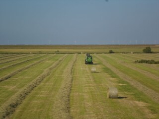 Appartamento per vacanze Oevenum Registrazione all'aperto 16