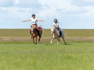 Appartement de vacances Oevenum Enregistrement extérieur 22