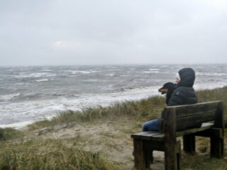 Vakantieappartement Oevenum Omgeving 33