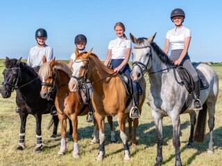 Vakantieappartement Oevenum Buitenaudio-opname 18