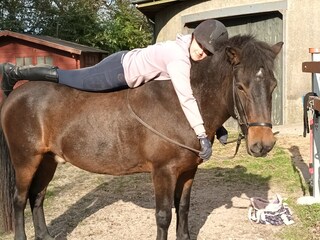 Vakantieappartement Oevenum Buitenaudio-opname 19