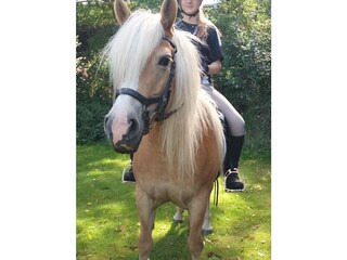 Apartamento de vacaciones Oevenum Grabación al aire libre 23