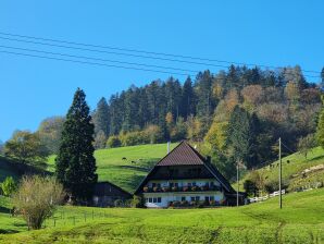 Bauernhof Bechererhof - Biberach - image1