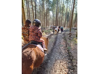 Ponyreiten