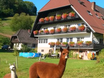 Bauernhof Bechererhof