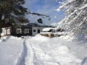 Holiday house Ferienhaus Adršpach - Jivka - image1