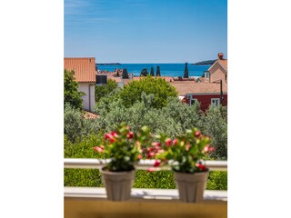 Appartamento per vacanze Fažana Caratteristiche 7