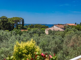 Vakantieappartement Fažana Kenmerken 17