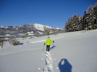 Vakantieappartement Abtenau Omgeving 35