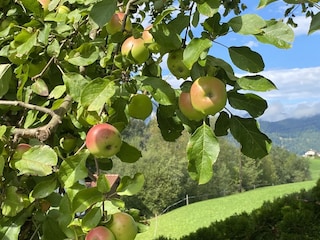 Herbstzeit