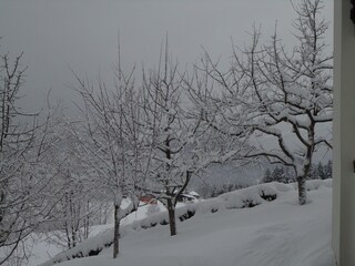 Vakantieappartement Abtenau Buitenaudio-opname 15