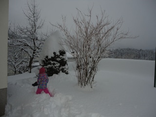 Fun in the snow Ferienhaus Ronacher