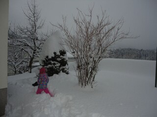 Vakantieappartement Abtenau Omgeving 38